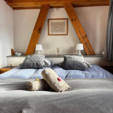 Central Hostel Châtel מראה חיצוני תמונה